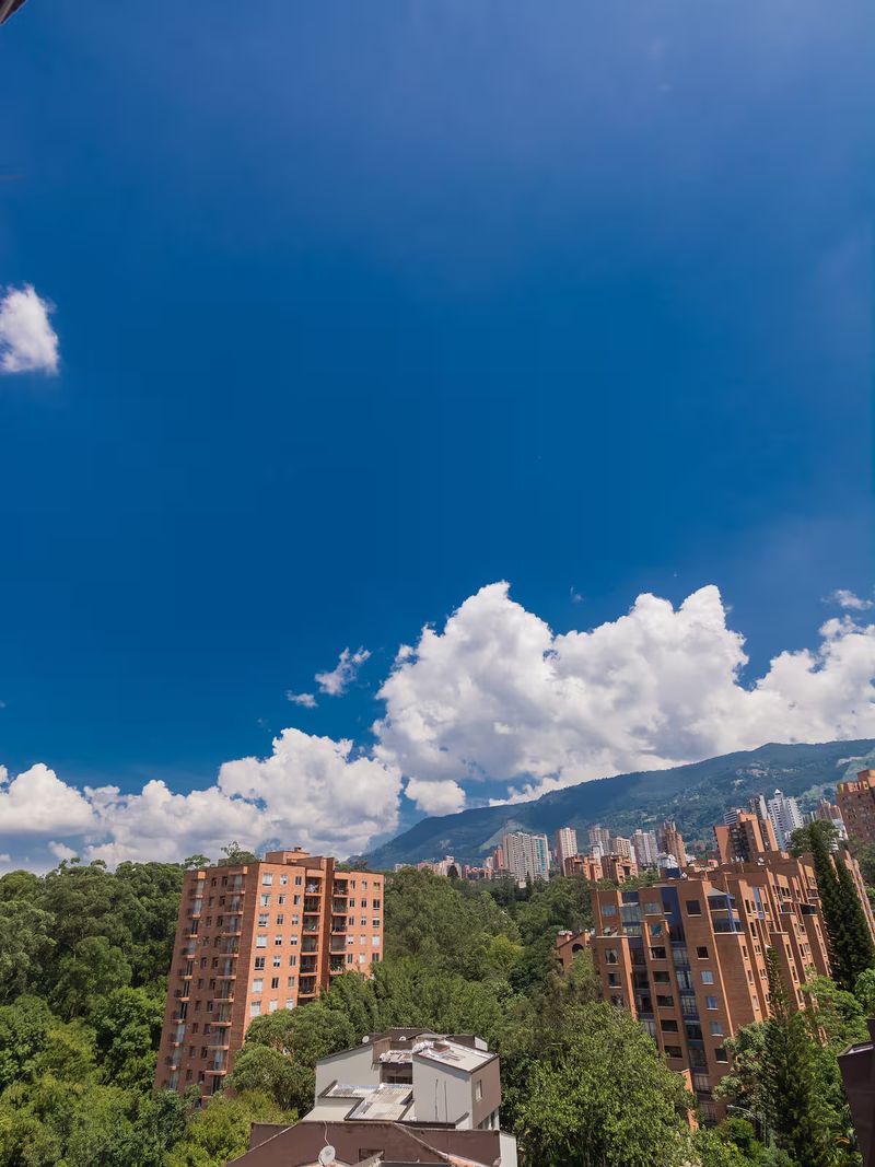 LF-1208: vista panorámica